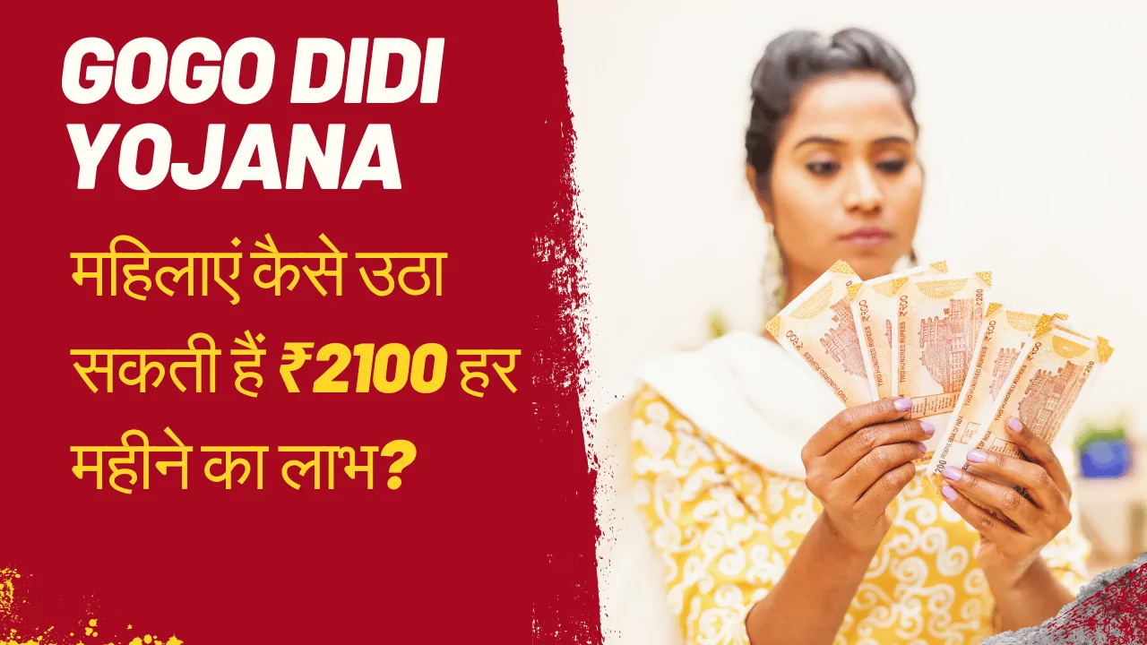 Gogo Didi Yojana